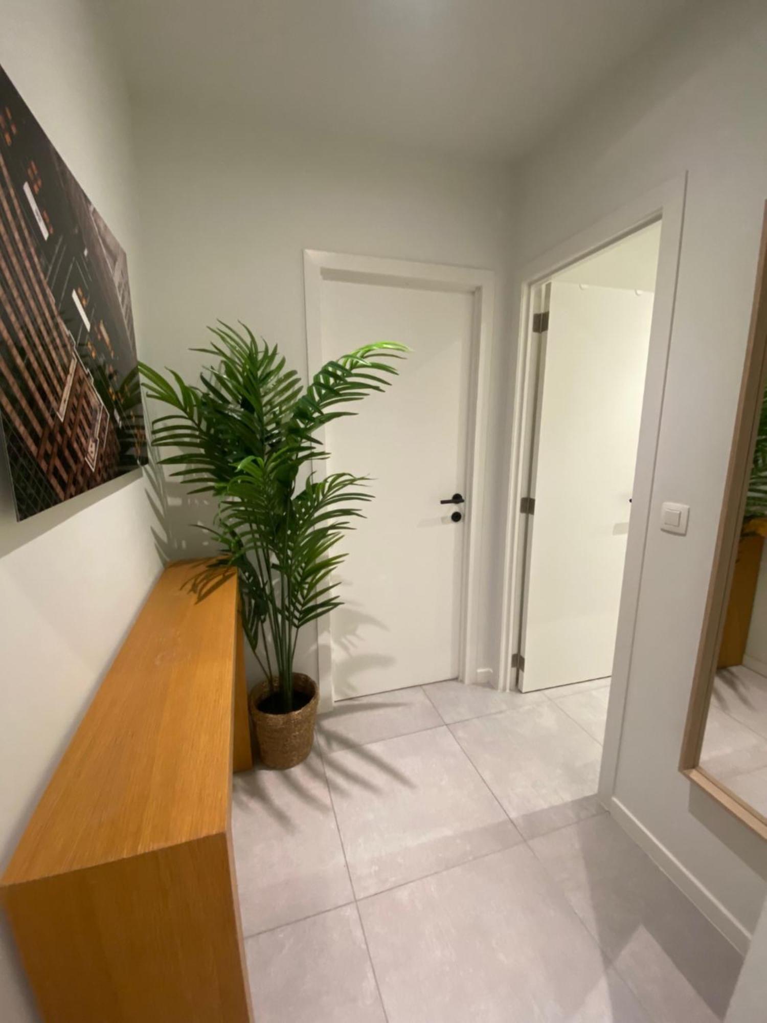Studios Cosy Brussel Eksteriør bilde