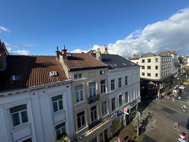 Studios Cosy Brussel Eksteriør bilde